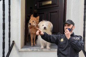 cani sotto l'uscio della porta di casa e poliziotto